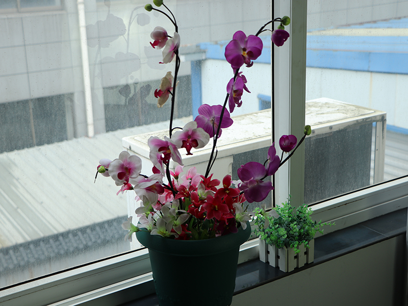 塑料花盆 (19)